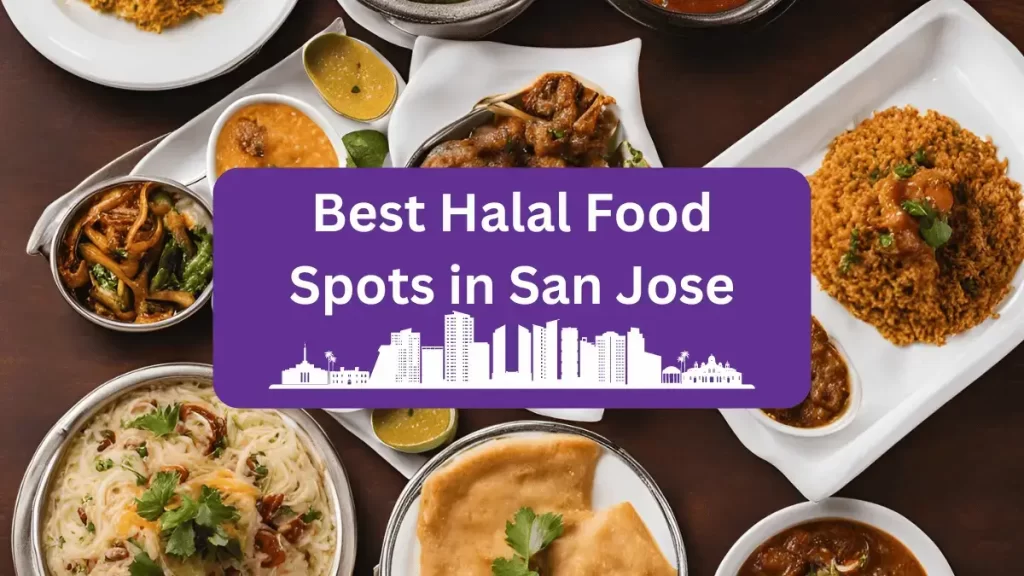 Best Halal Restaurants in San Jose, CA